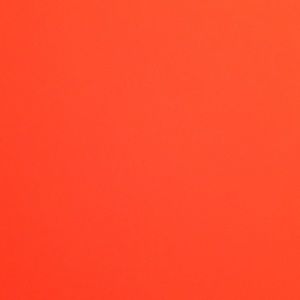 Meet your Posher, Ashlyn